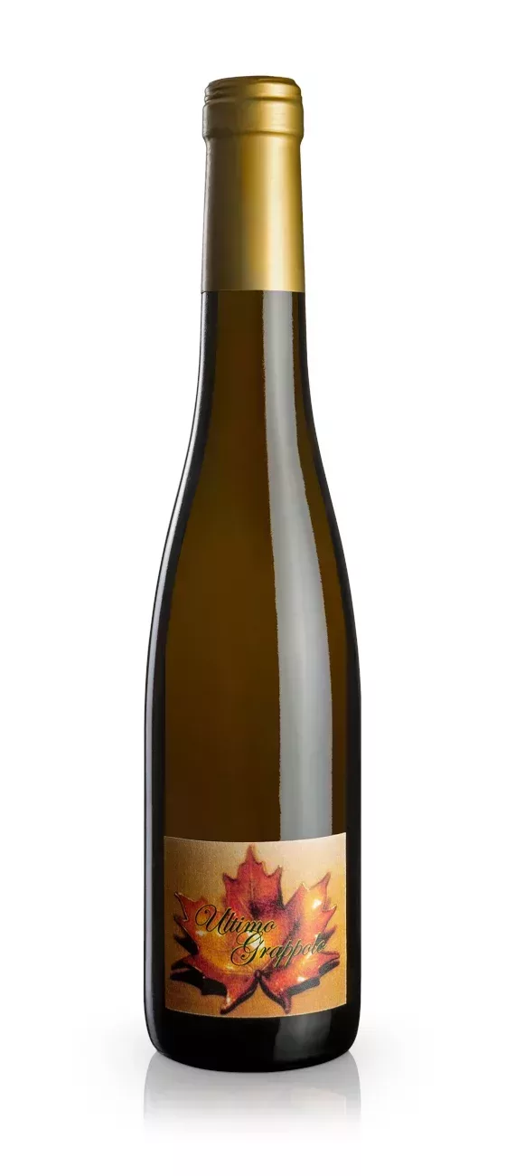 Ultimo Grappolo White wine made from dried grapes - Ghiga - bottiglia