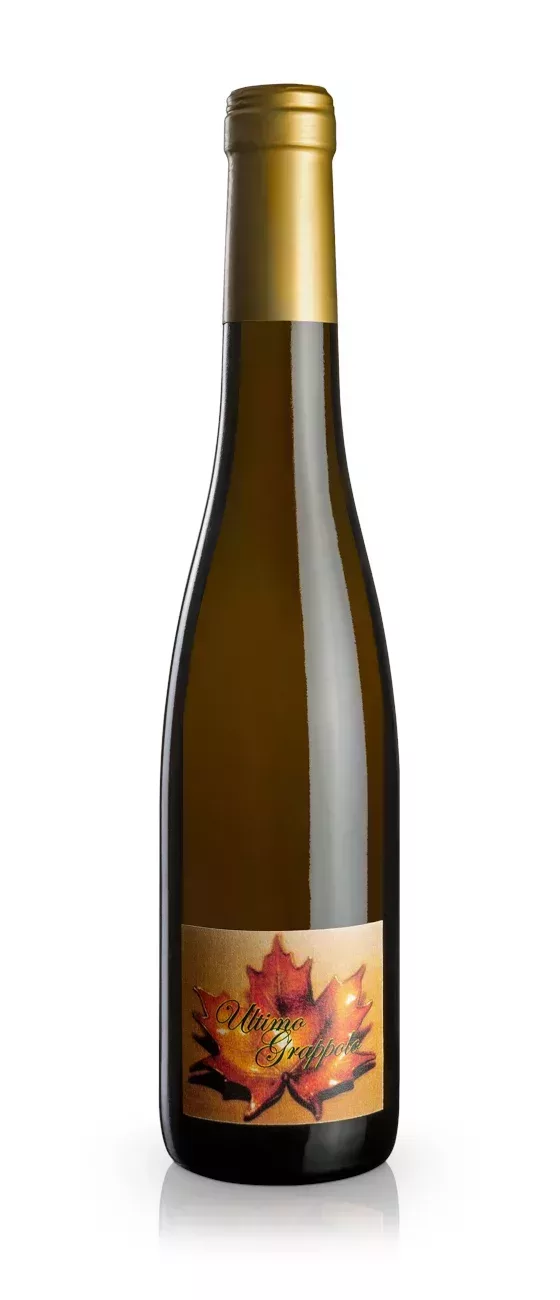 Ultimo Grappolo White wine made from dried grapes - Ghiga - Bottle