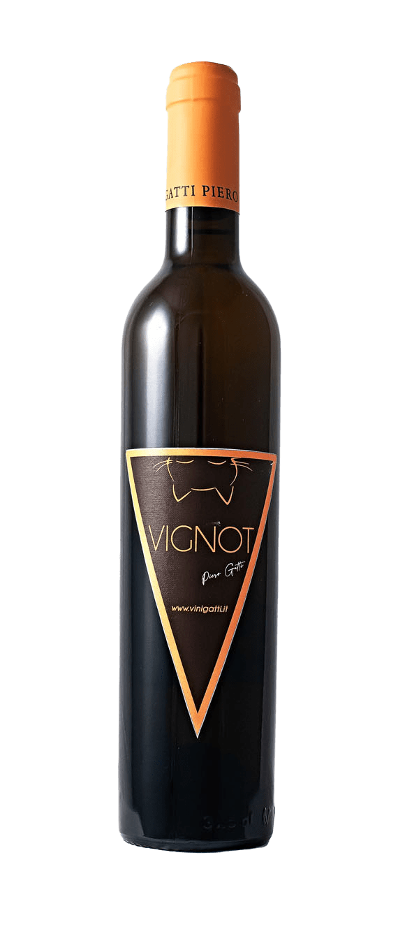 Passito of moscato grapes Vignot - Gatti Piero (bottle)