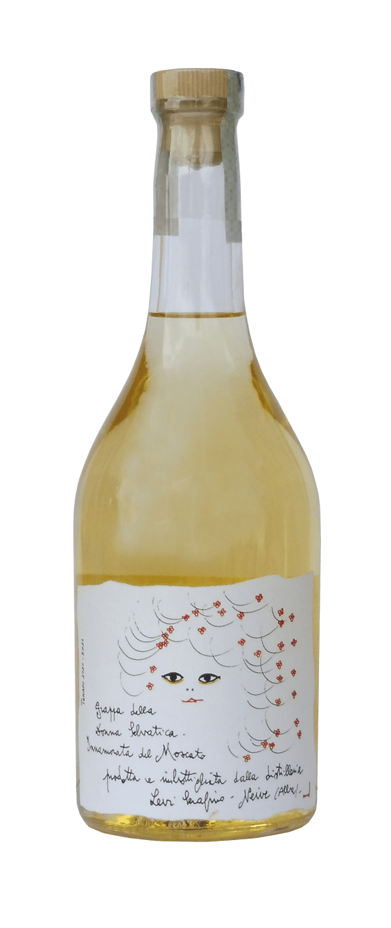 Buy Levi Serafino - Moscato D'Asti Grappa at 54.95€ only > ShopLanghe