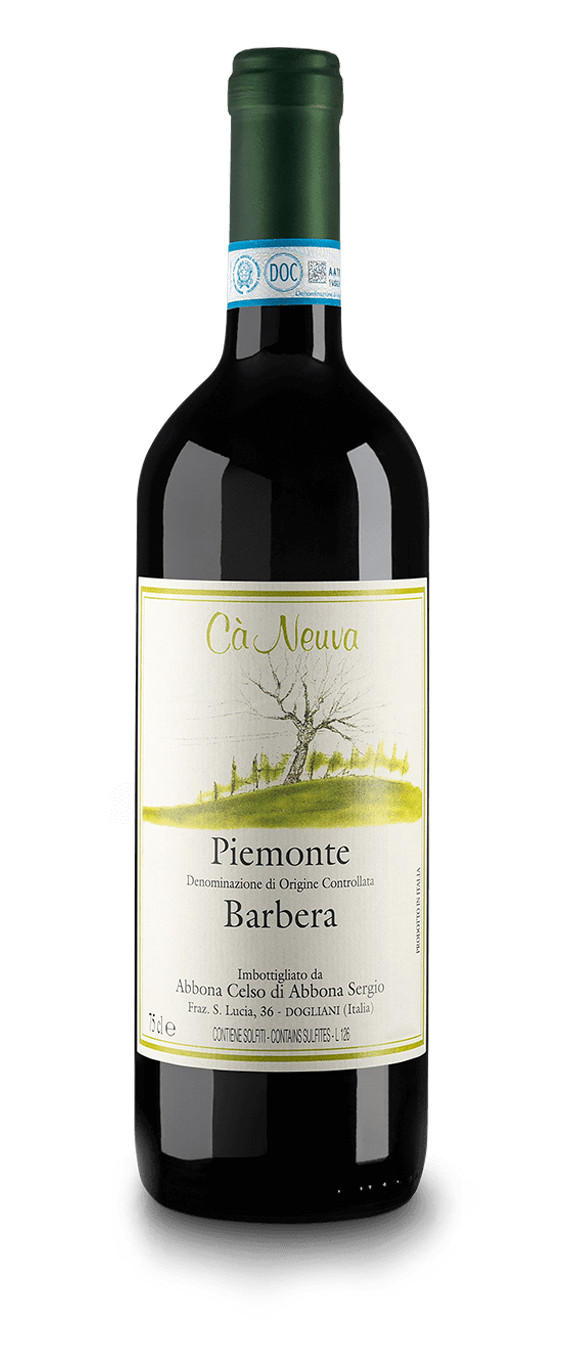 barbera_cà_neuva-min Piemonte Barbera DOC - Cà Neuva (bottiglia)