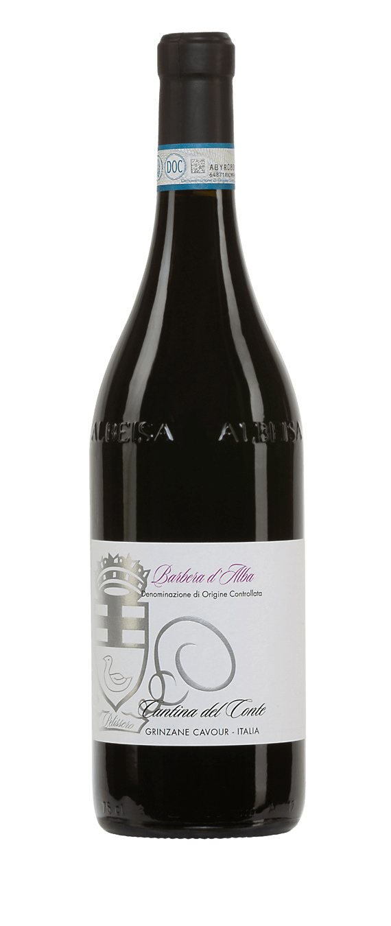 Barbera d'Alba DOC - Cantina del Conte (bottiglia)
